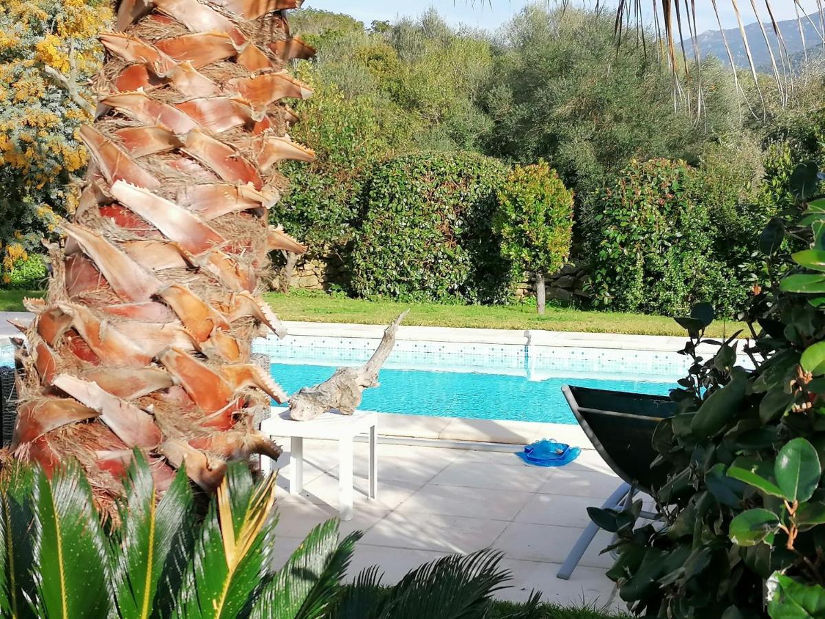 Studio 5Min Plage Agosta Albitreccia Bagian luar foto